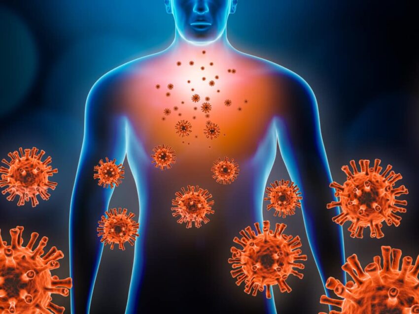 Radiografía del sistema inmune